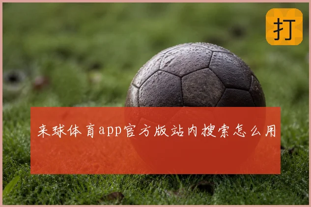 来球体育app官方版站内搜索怎么用